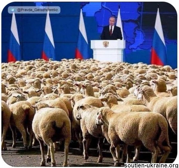 Les moutons de Putin.jpg